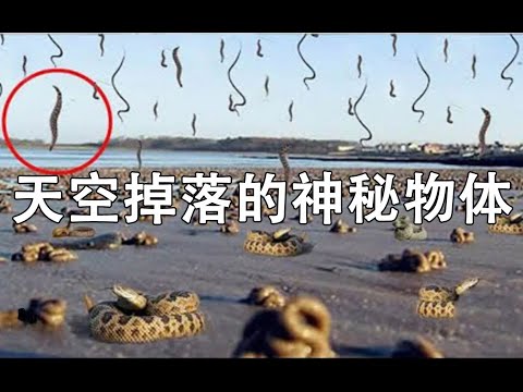 那些从天上掉下来的神秘物体，科学家们看了都哑口无言