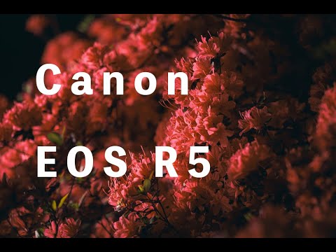 EOS R5のススメ