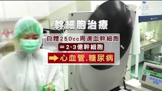 褐色脂肪幹細胞 再生醫學新趨勢