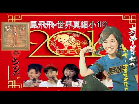 鳳飛飛-世界真細小(狗年春節賀歲)極品音質