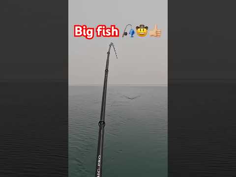 For the boys !!! #fishing #trending #viral #bigfish