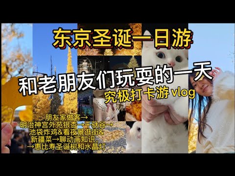 【兰酱的东京打卡一日游vlog】来朋友家做客撸猫｜明治神宫外苑银杏黄了｜烤鸡｜池袋圣诞夜景，看会呼吸的灯｜吃新疆大盘鸡听郭老师讲动画制作知识为什么动画再火，动画公司也分不到钱→惠比寿圣诞树和水晶灯