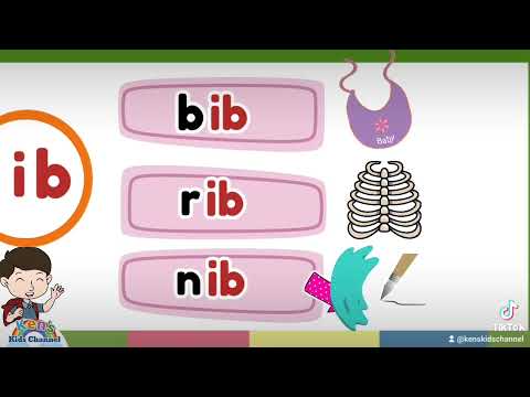 CVC WORDS | -ib Word Family | Reading Phonics for Kids | Learn to Read