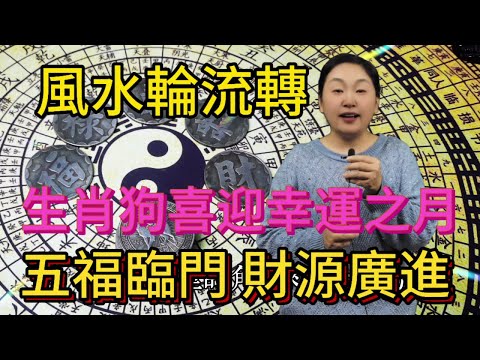 風水輪流轉！生肖狗迎來幸運月！未來一個月，五福臨門，橫財偏財統統為你而來，財氣沖天！#風水 #分享 #運勢 #佛教 #財富 #生肖