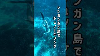 バリ島の離島【レンボンガン島でシュノーケリング】 #バリ島 #バリ島旅行 #レンボンガン島 #シュノーケリング #海