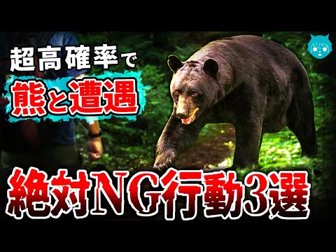 【危険】絶対やるな！熊と遭遇してしまう最悪の行動3選【クマ襲撃】