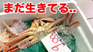 鮮魚スーパーで売っていた瀕死のズワイガニを水槽に入れると...