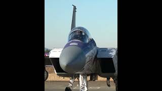 F-15Jスぺマ機！百里基地航空祭F-15J spema machine! Baili Base Aviation Festival#shorts