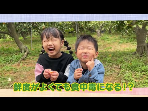 【公式】「鮮度がよくても 食中毒になる！？」（12月8日放送）｜テレビ西日本