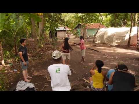 The Haitian Machete Fencing Project - Update #1