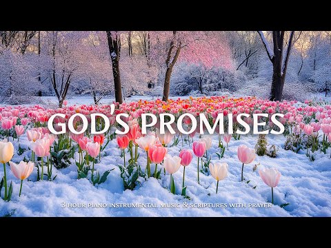 God's Promises : Instrumental Worship and Scriptures with Floral Forest 🌸 Christian Instrumental