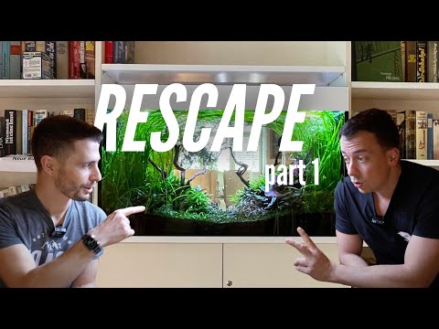 WE TRANSFORMED THIS ROOM DIVIDER AQUARIUM! EPIC RESCAPE W/@JurijsJutjajevs