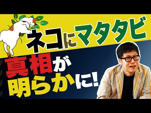 【論文読んでみた】猫がマタタビに反応する本当の理由とは！？