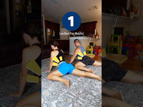 Low Back Pain Mobility Routine!