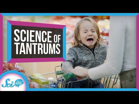 The Secret World of Temper Tantrums