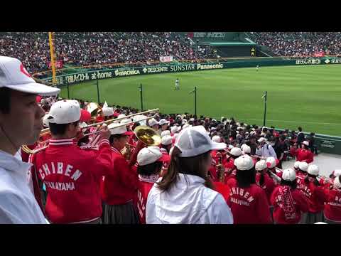 智弁和歌山 ミラクルショット 美音 ミュートあり 2019選抜甲子園 応援