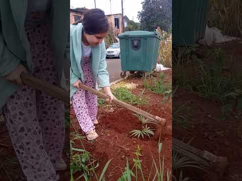 minha filha plantando uma palmeira