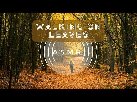 Walking through Leaves | ASMR for a Chilly Autumn Day