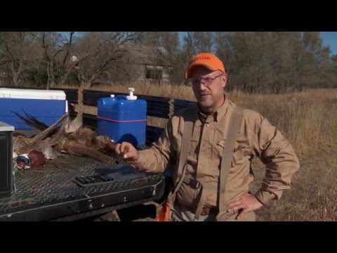 Chokes and Shells for Small Birds -- Safe Shooting & Hunting Tips with Dave Miller