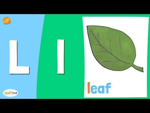 Letter L Practice | Phonics and Vocabulary | Think Read Write | ELF Learning