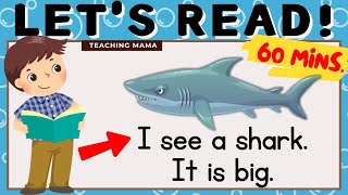 LET'S READ! | READING COMPILATION | PRACTICE READING ENGLISH | 1 HR ENGLISH READING | TEACHING MAMA