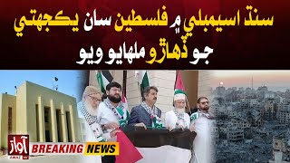 Solidarity Day with Palestine was celebrated in Sindh Assembly | Awaz  Tv News