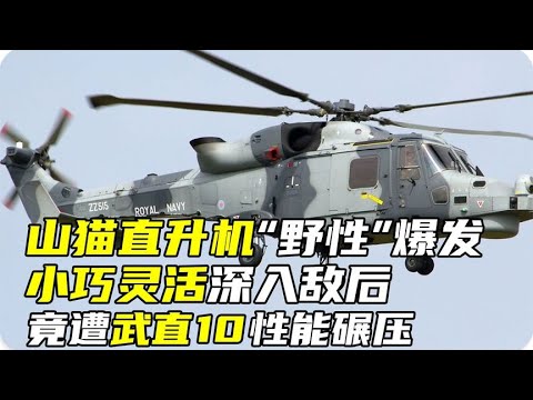 山猫直升机“野性”爆发，小巧灵活深入敌后，竟遭武直10性能碾压