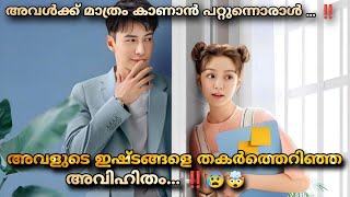 My fairy girl  (2021) Comedy feel good Chinese  movie Malayalam explanation @MOVIEMANIA25