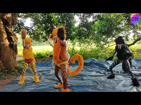 Tiger Dance, odisha