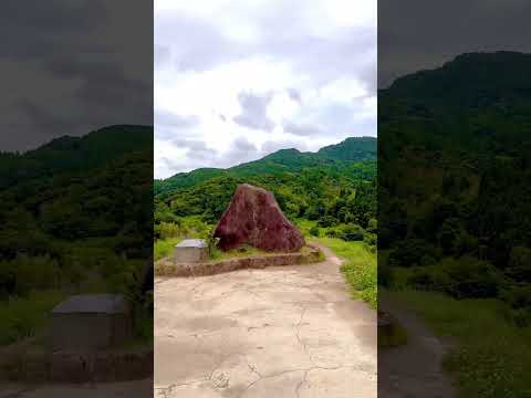 【癒し】【大山千枚田】大小375枚の田んぼが階段のように連なる里山の原風景