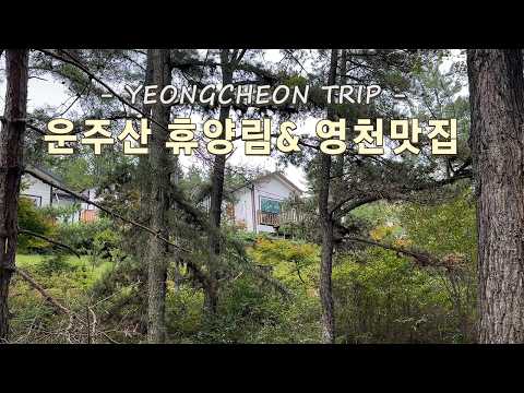 Family trip 🌲 Healing time at Unju Mountain Natural Forest! Yeongcheon Restaurant! Travel Vlog