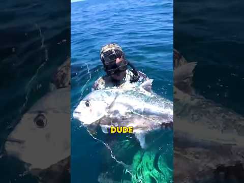 Spearfishing Texas OIL RIGS