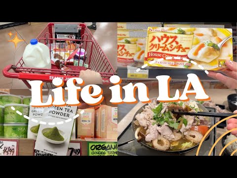 Life in LA: grocery shopping, Boiling Point hotpot, dried dates & longan