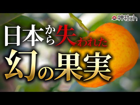 失われた古代日本の幻の果実！大和橘をめぐる旅