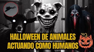 Animales actuando como humanos. Noche de halloween.