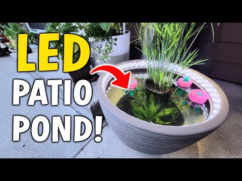 Easy LED LIGHT UP Patio Pond Setup & Tutorial