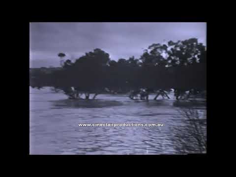 Extreme weather event - Geelong floods   August 22nd 1951