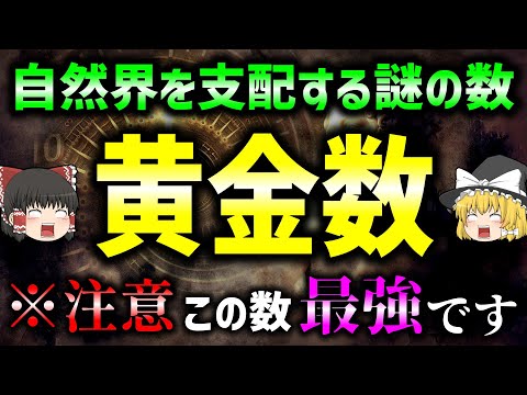 最も美しい数「黄金数」のヤバい謎 3選　【ゆっくり解説】