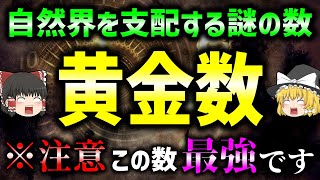 最も美しい数「黄金数」のヤバい謎 3選　【ゆっくり解説】