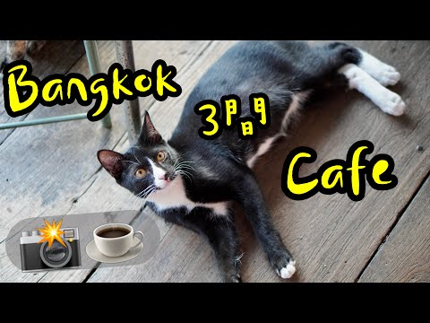 【曼谷自由行】曼谷Cafe - 精選3間打卡。咖啡集於一身的Coffee Shop, 我如何幫女朋友影相📸️⁉️ (粵語中字)