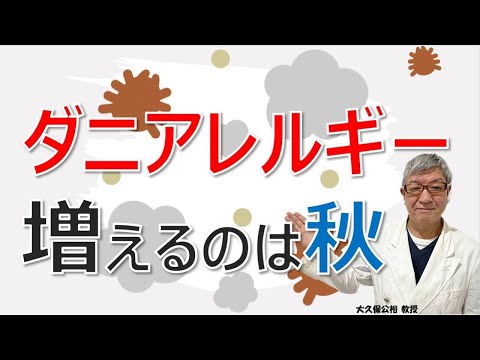 秋にダニアレルギーが増えるのはなぜ？どこに原因が？治療するには？大久保公裕先生がやさしく解説