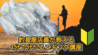 エギング初心者必見！分かりやすい！1分で分かるアオリイカの釣り講座【釣具屋店員直伝】