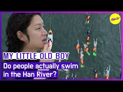 [MY LITTLE OLD BOY]Do people actually swim in the Han River? (ENGSUB)