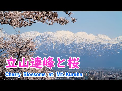 Cherry Blossoms at Mt.Kureha & Matsukawa with Relaxing Music ( Toyama ) / Spectacular Views of Japan