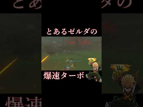 【ティアキン】とあるゼルダの爆速ターボ【ゼルダの伝説】#shorts