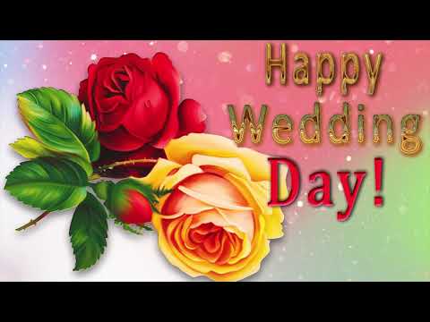 🎶💗 Happy Wedding Day ! 🎶💗 4K Animation Greeting Cards