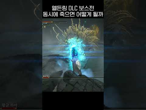 엘든링 DLC 보스전 동시에 죽으면 어떻게 될까 #shorts #game