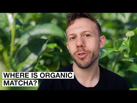 Why is Organic Matcha so Hard to Find? (Organic Matcha Part 1)