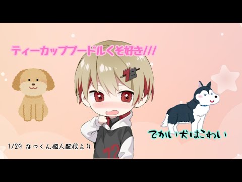 でかい犬は怖いなつくんがかわいいw【シクフォニ】【切り抜き】