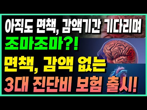 건강검진 전 꼭 가입하세요! 면책, 감액없는 3대진단비 꼭 가입하고 검진 받기!